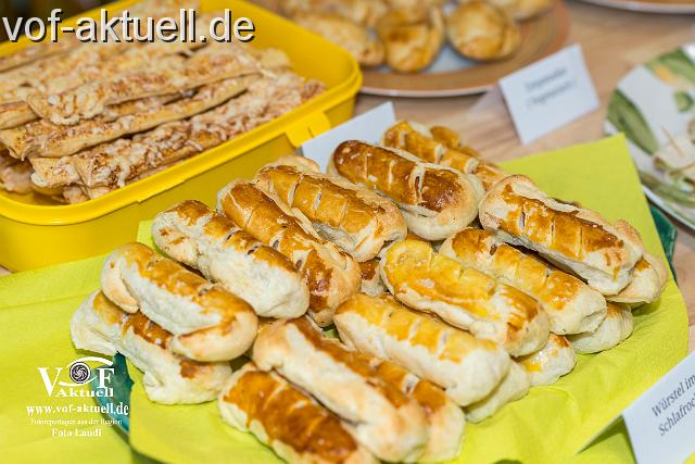 Foto Laudi_Ergo_VOF-26.jpg